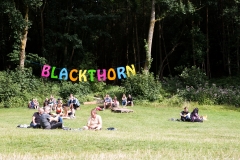 Blackthorn Festival 2018, by Nicola Jaye