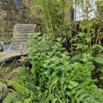 Gardening: pretty shady