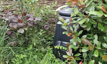 Gardening: the call of the composter