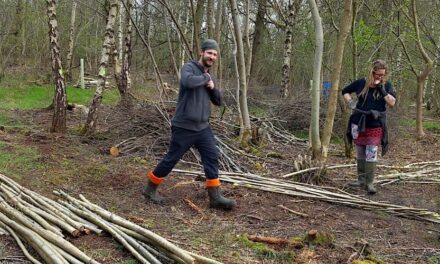 Living Woods: working to protect and create woodlands